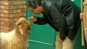 سریال پاورچین 67 - فرهاد , شادی , بز 