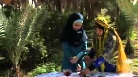 طرز تهیه ترشی بادمجان خوشمزه 