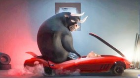 کارتون فردیناند نماشا-کارتون فردیناند دوبله فارسی آپارات