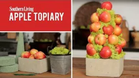 How To Make an Apple Topiary | Fall Decoration