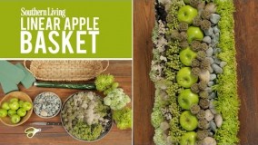 تزیین پاییزی سیب