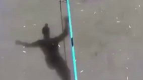 تمساحا منتظر بودن بیوفته تو آب تا یه لقمه چپش کنن