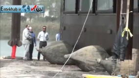 فیلم/ به آب اندازی نخستین شناور رستوران آکواریوم غرب آسیا