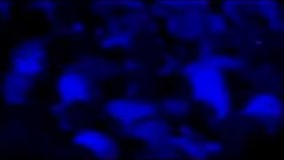 خیال  نکن نباشی بدون تو  میمیرم!  با صدای علیرضا  عصار