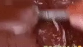 آشپزی نون سیر