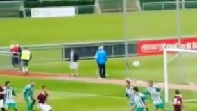 گل های زیبا و عجیب 