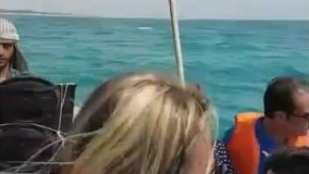 جزیره زیبای قشم