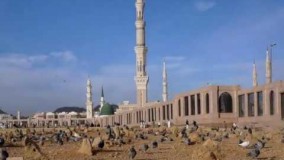 قصیدہ امام زین العابدین علیہ السلام