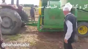 گل و گیاه و نهال طبیعت سبز