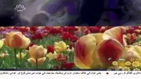 دنیا بھرمیں جشن ولادت حضرت امام زین العابدین علیہ السلام - 02 مئی 2017