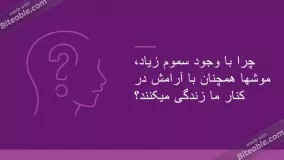 کنترل جمعیت موش (Biorotox)