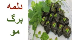 بهترین روش تهیه دلمه برگ مو + نکات ریز و خواص مواد تشکیل دهنده