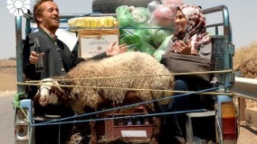 دانلود سریال علی البدل قسمت 9