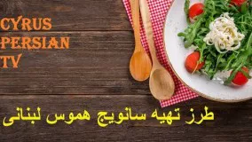 آشپزی آسان-طرز تهیه سانویج هموس لبنانی - 