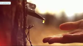 تبلیغ جذاب یک شرکت بستنی سازی