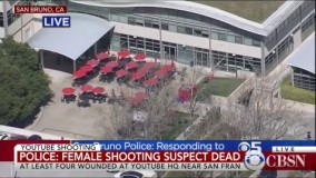  درباره تیراندازی در دفتر یوتیوب توسط نسیم سبز نظر رسانه های انگلیسی زبان 