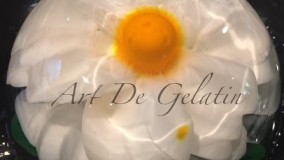 ژله تزریقی 67