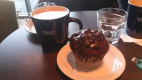 خوشمزه ترین مافین شکلاتی دنیا - BEST CHOCOLATE MUFFIN