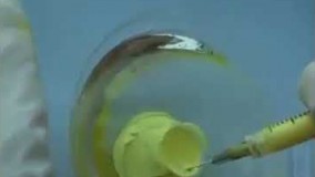 آشپزی مدرن-ژله تزریقی زیبا