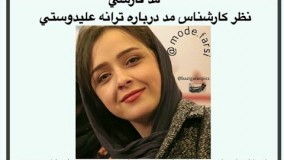 نظر کارشناسان مد درباره ترانه علیدوستی