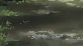  کارتون قهرمانان تنیس قسمت 107 فصل 5 قسمت 10 دانلود کارتون قهرمانان تنیس کامل