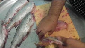 نکات آشپزی-پوست کندن ماهی وگرفتن استخوان کمر غزل آلا