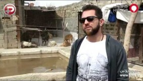 واکنش تند بهرام رادان به ویدیوی منتشر شده از یک سگ آزاری وحشیانه در گرگان