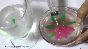 تهیه دسر-تهیه ژله تزریقی-هنر شیشه