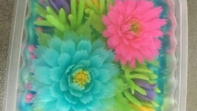 تهیه دسر-تهیه ژله تزریقی-هنر و زیبایی