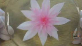 تهیه دسر-تهیه ژله تزریقی و معرفی ابزار آن