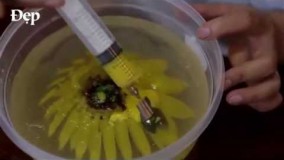 تهیه دسر-تهیه ژله تزریقی