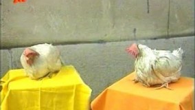 دانلود سریال چارخونه قسمت 12 - کلیپ 