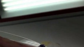 نیسانی كه نیاز به شستشو ندارد