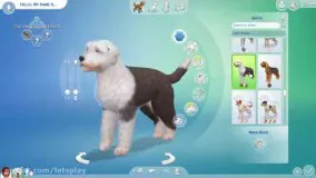 آموزش sims 4  بنام Cats and Dogs  ( به فارسی )