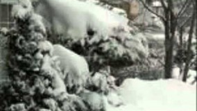 کسی که مثل هیچکس نیست - حسین پناهی