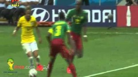 گلهای برزیل و کامرون