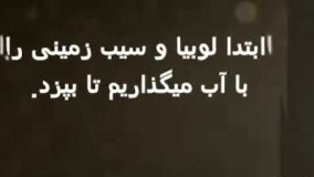 هنر آشپزی-سوپ لوبیا