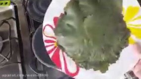 هنر آشپزی-طرز تهیه دلمه برگ انگور