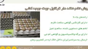 خرید تخم نطفه دار قرقاول ، مرغوب و ارزان