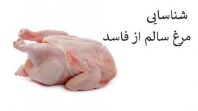 راه های شناسایی مرغ سالم از فاسد