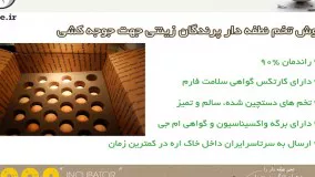 مرغوب ترین تخم نطفه دار انواع پرندگان زینتی در juje.ir