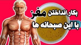 ۵ صبحانه که مغزتان را به کار می اندازد و سلولهای مغز رو جوان نگه میدارد!