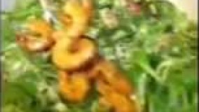 آشپزی ایرانی-سالاد ميگو