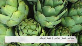 خواص بی نظیر کنگر ایرانی و کنگر فرنگی