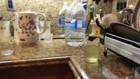 آشپزی ایرانی-روش تهیه چای سبز