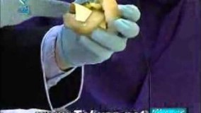 آشپزی مدرن-تهیه ساندویچ بیف یا گوشت