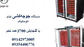 تولید جوجه با دستگاه جوجه کشی 3700 عددی ، بهترین گزینه برای درآمد بیشتر