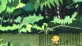 کارتون واتو واتو پرنده اعجاب انگیز-دانلود کارتون واتو واتو