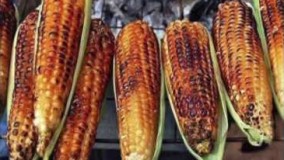 خواص ذرت (بلال)