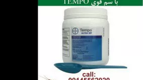 سم کشنده سوسک تمپو Tempo، قوی ترین سم سوسک